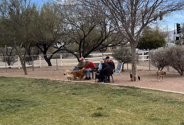 Dog Park at Quail Creek photo 2
